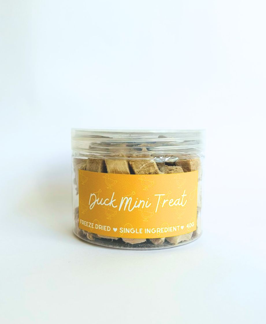 Duck Mini Treat