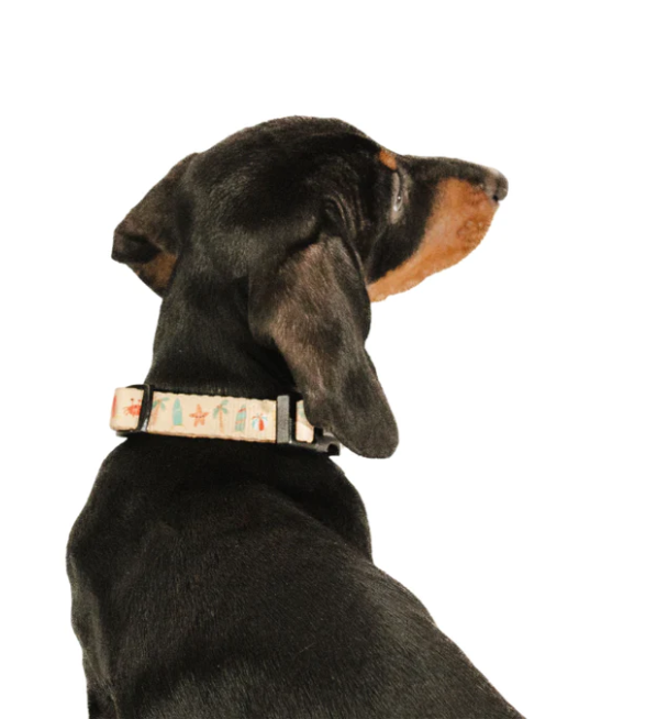 Hanzy & Bhessy Breezy Surf's Up Collar