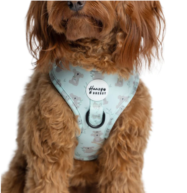 Hanzy & Bhessy Kuddly Koala Adjustable Harness