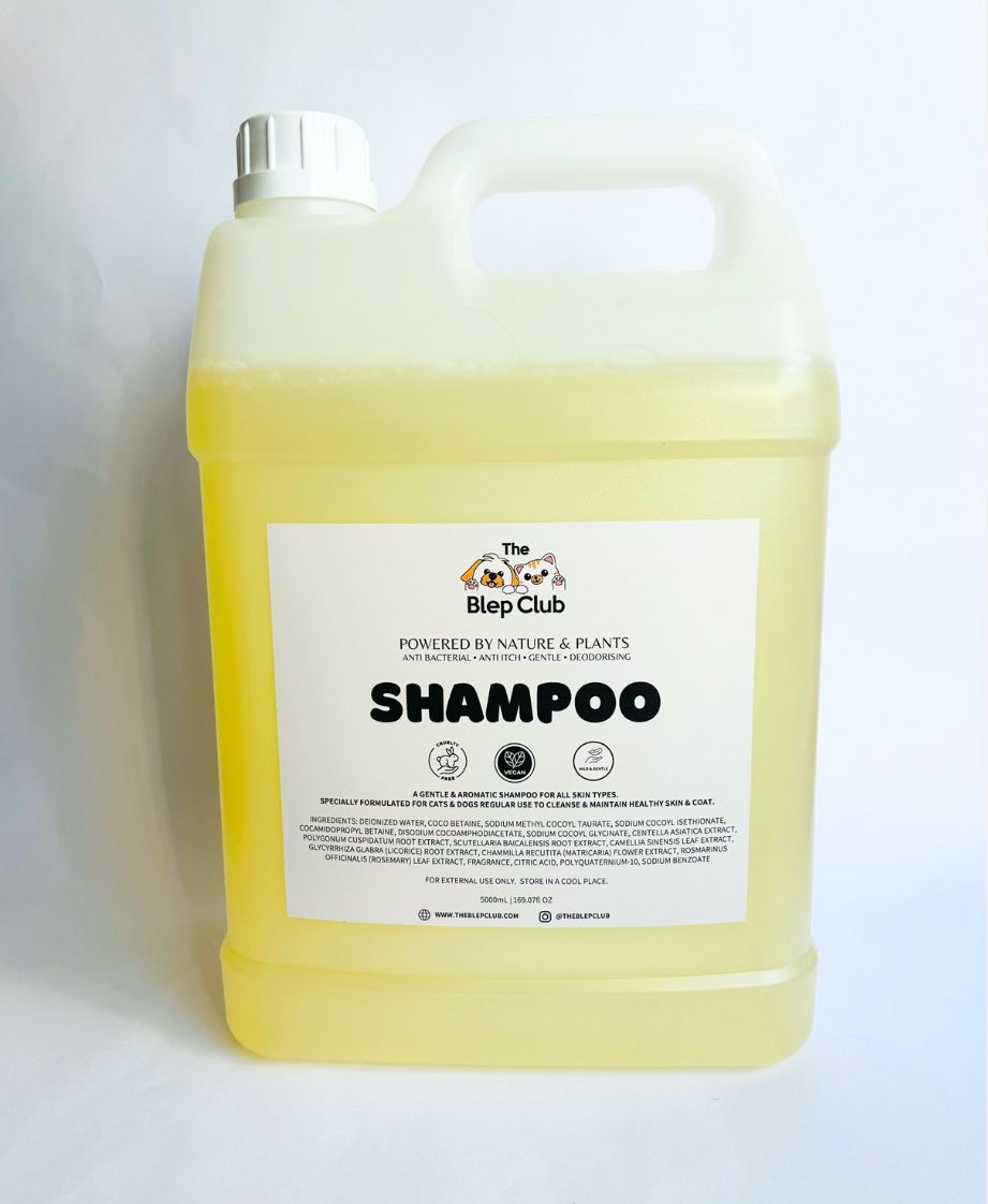 Gentle Shampoo