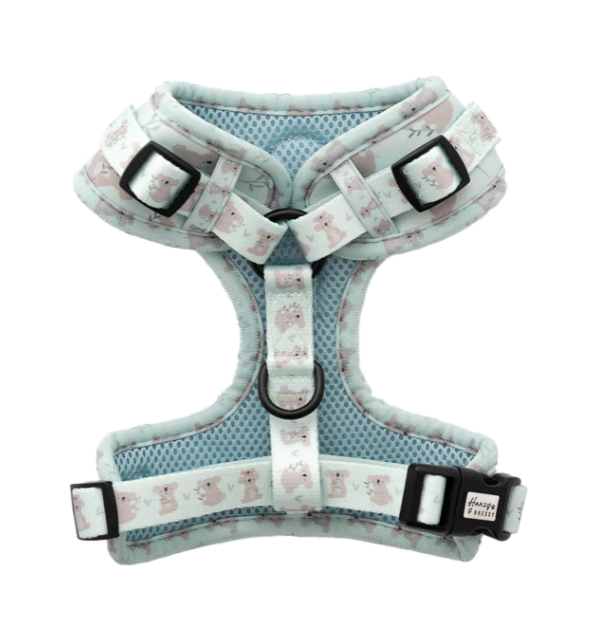 Hanzy & Bhessy Kuddly Koala Adjustable Harness
