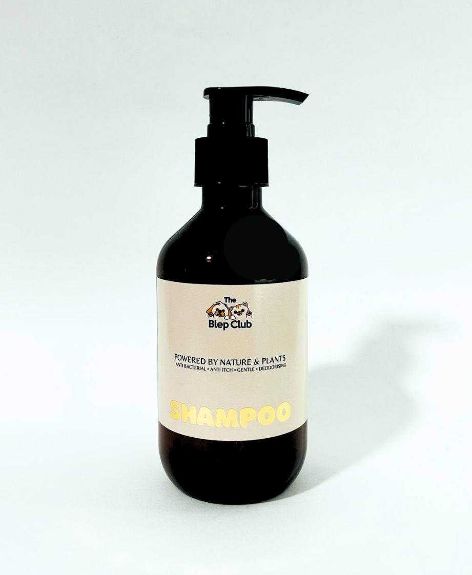 Gentle Shampoo