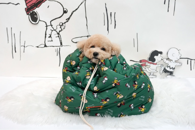 Boms Snoopy Peanuts Blanket Bed