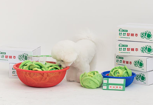 Bite Me Cabbage Toy Set