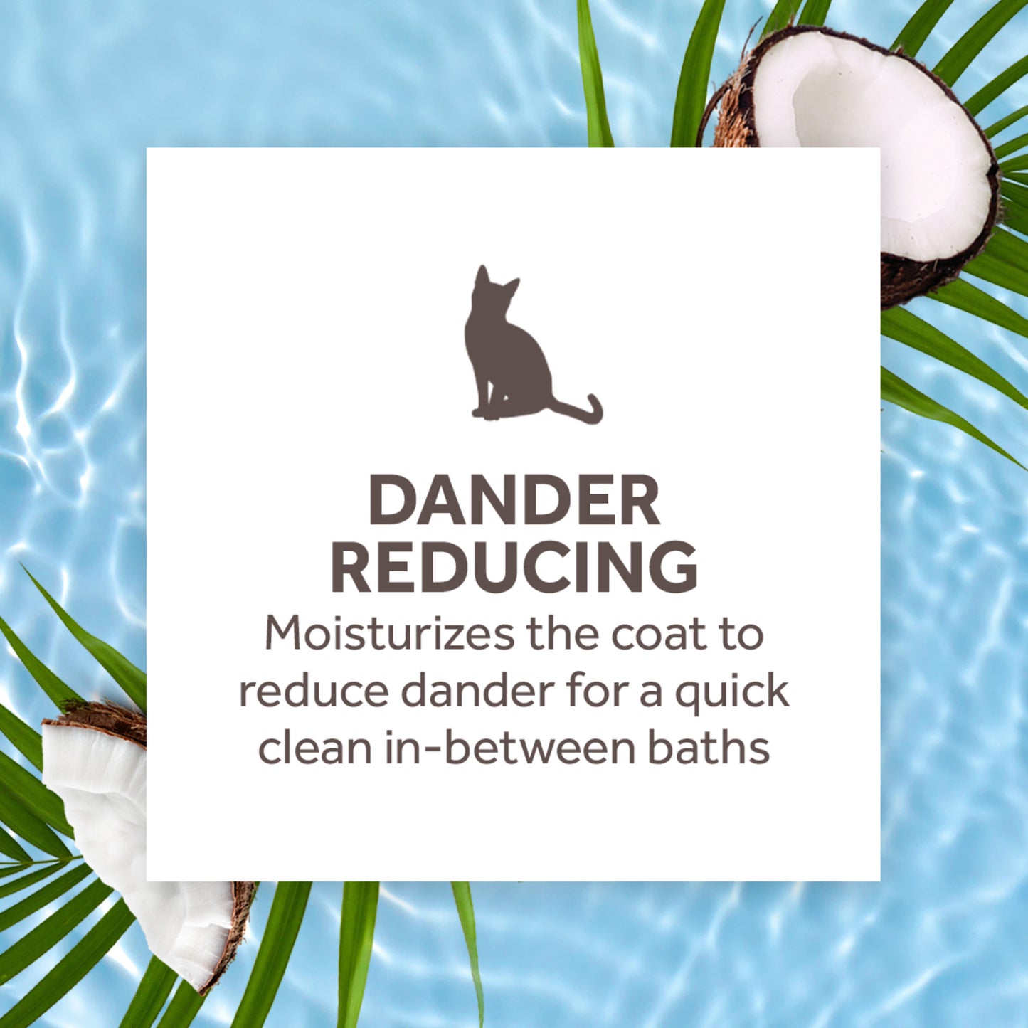 Tropiclean Dander Reducing Waterless Cat Shampoo