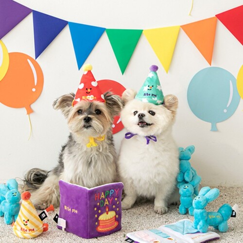 Bite Me Party Series - Happy Bday Card Dog Toy