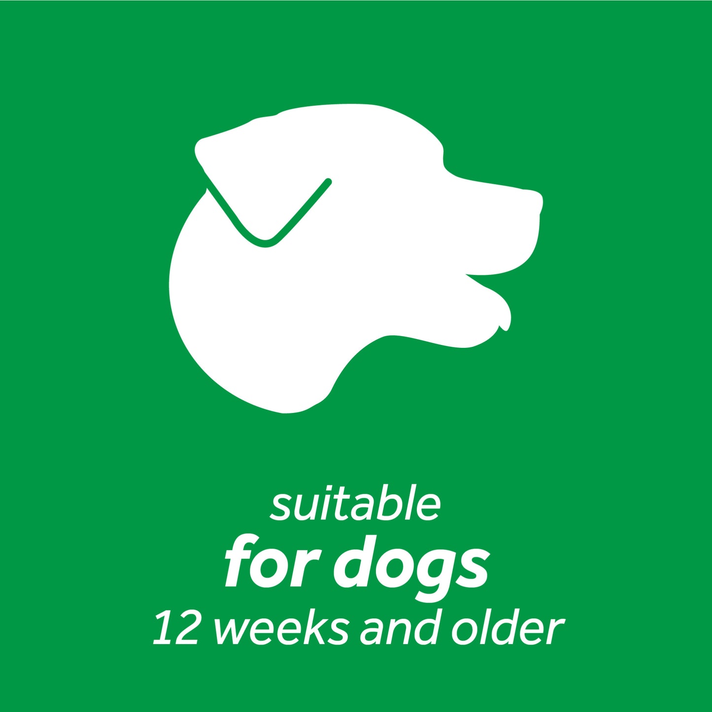 Tropiclean Oral Care Gel for Dogs (Toothpaste)