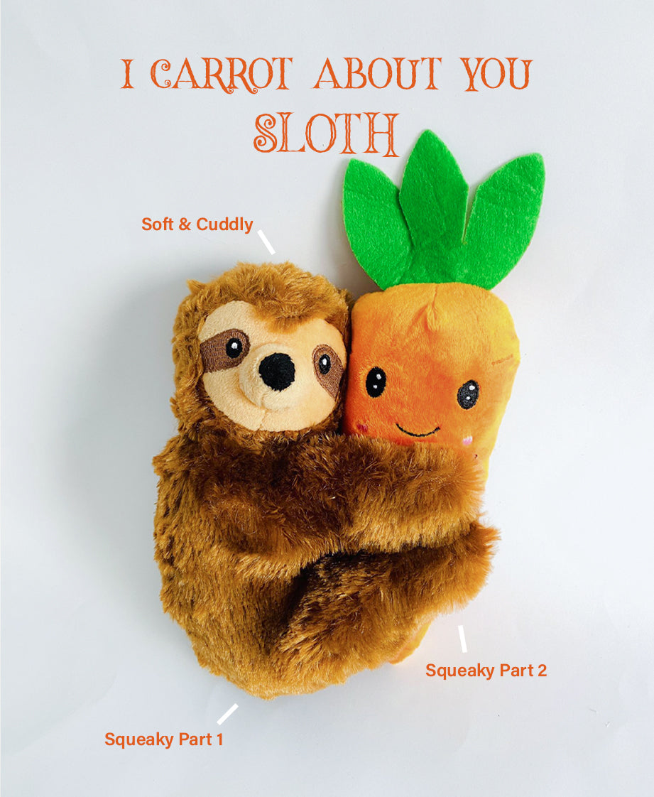 I Carrot About You Sloth Plushie