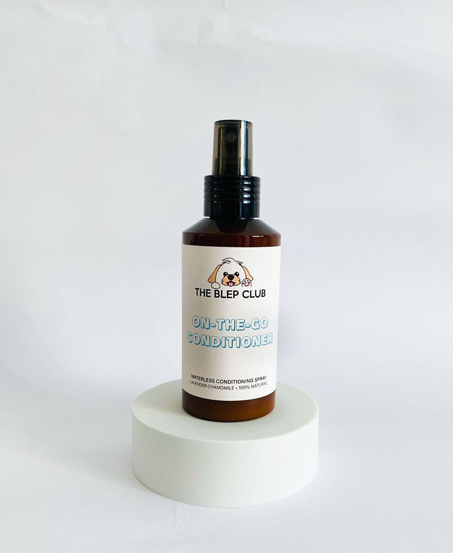 ON-THE-GO Conditioner | Waterless