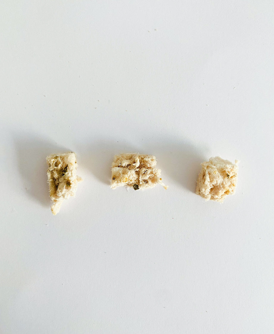 Mini Chunks | Parsley Crocodile