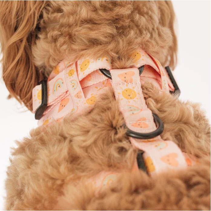 Hanzy & Bhessy Sprinkles of Love Adjustable Harness