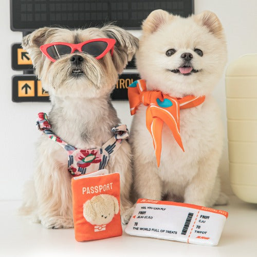 [BiteMe x Jeju air] Pet passport & ticket nosework toy set
