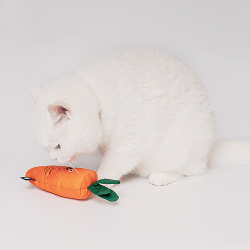 Bite Me Carrot Catnip Cat Toy