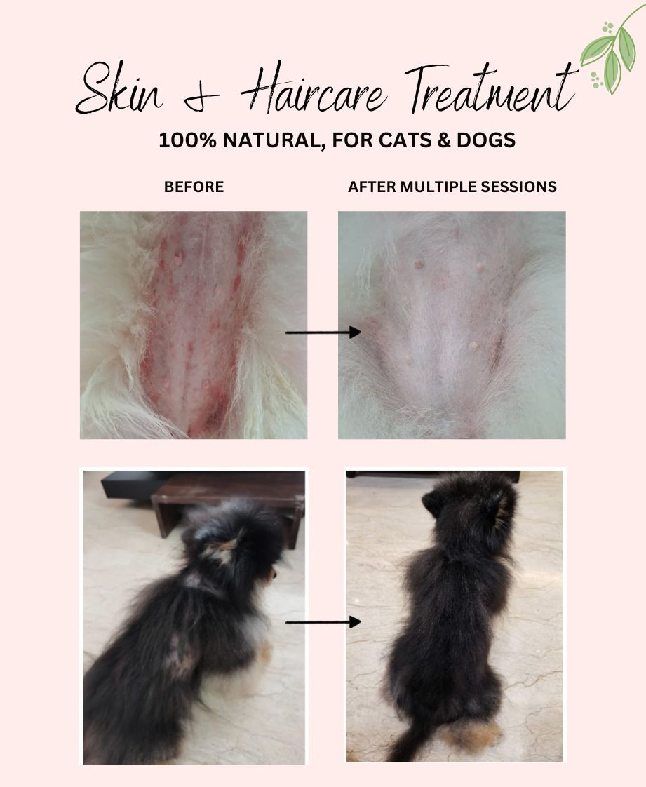 Skin & Haircare Treatment