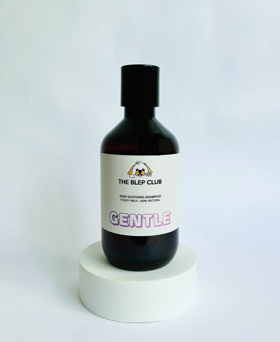 GENTLE | Skin Soothing Conditioning Shampoo