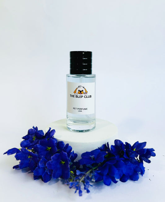 Premium Perfume | LUNA