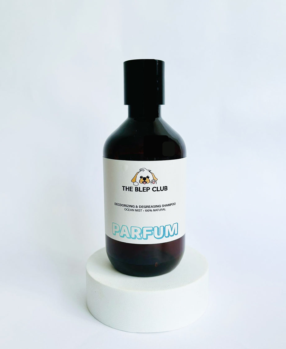 PARFUM | Deodorizing & Degreasing Shampoo