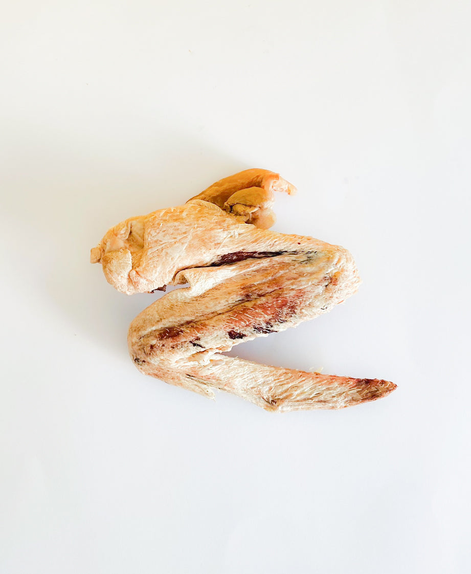 Chewy Duck Wing