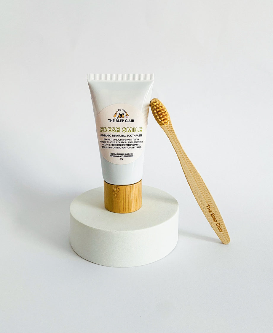 FRESH Smile | Toothpaste Set – The Blep Club